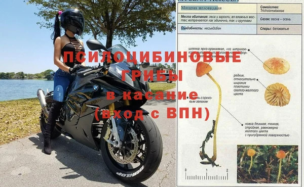бошки Заволжье