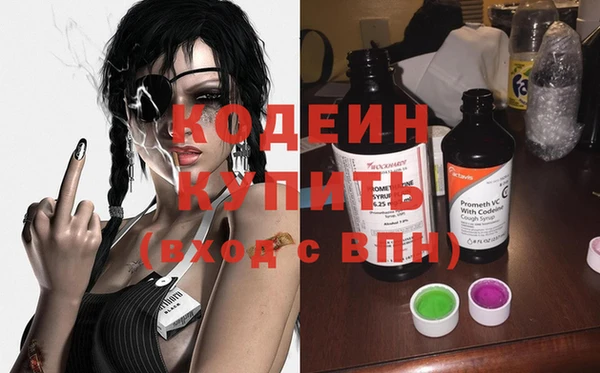 дурь Заводоуковск