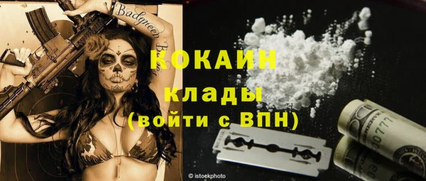 дурь Заводоуковск